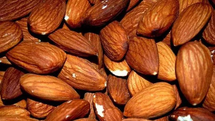 Kalbi ve damarları tertemiz yapıyor Her gün avuç avuç tüketin: Kolesterolü damardan kazıyor, kalbi tıkır tıkır çalıştırıyor