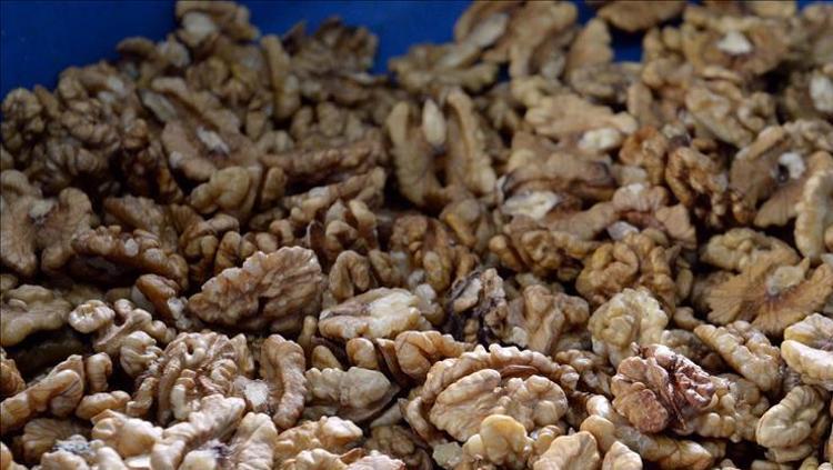 Kalbi ve damarları tertemiz yapıyor Her gün avuç avuç tüketin: Kolesterolü damardan kazıyor, kalbi tıkır tıkır çalıştırıyor