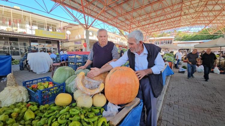 BAL KABAĞININ FAYDALARI NELERDİR