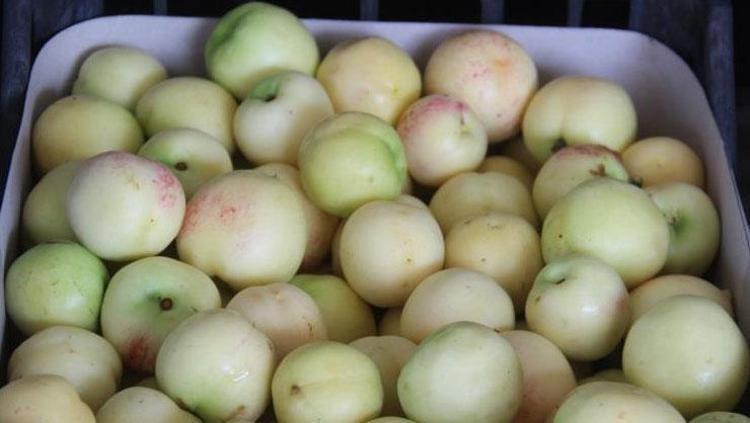 Damarlara stent etkisi veriyor Kalbin meyvesi olarak da biliniyor: Damarları hortum gibi açıyor, plakları silip süpürüyor