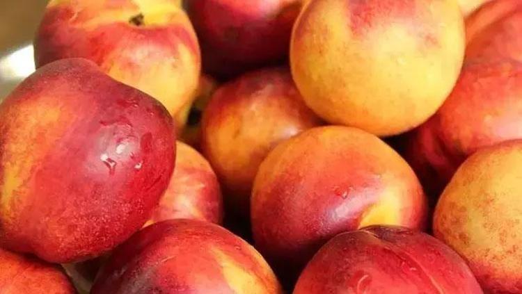 Damarlara stent etkisi veriyor Kalbin meyvesi olarak da biliniyor: Damarları hortum gibi açıyor, plakları silip süpürüyor