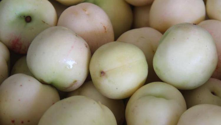 Damarlara stent etkisi veriyor Kalbin meyvesi olarak da biliniyor: Damarları hortum gibi açıyor, plakları silip süpürüyor