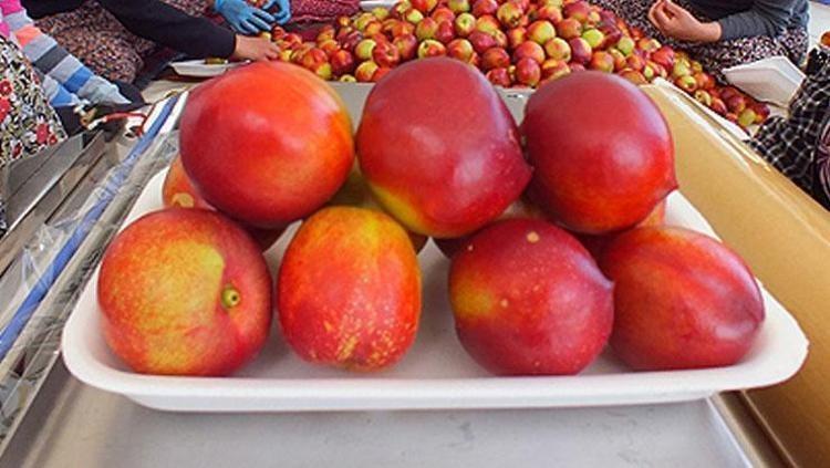 KAN DOLAŞIMINI ARTTIRIR