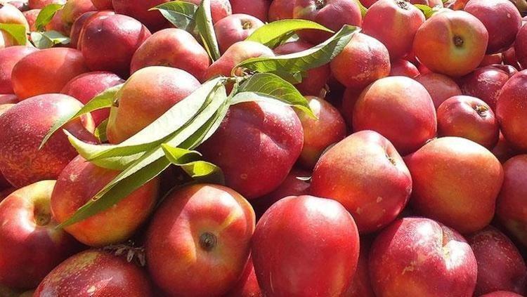 KALP KRİZİ RİSKİNİ AZALTIR