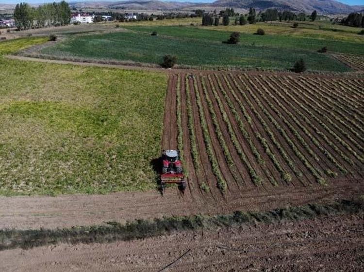 KALP VE DAMAR SAĞLIĞINI KORUR