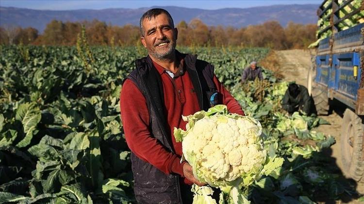 KAN ŞEKERİNİ DENGELİYOR
