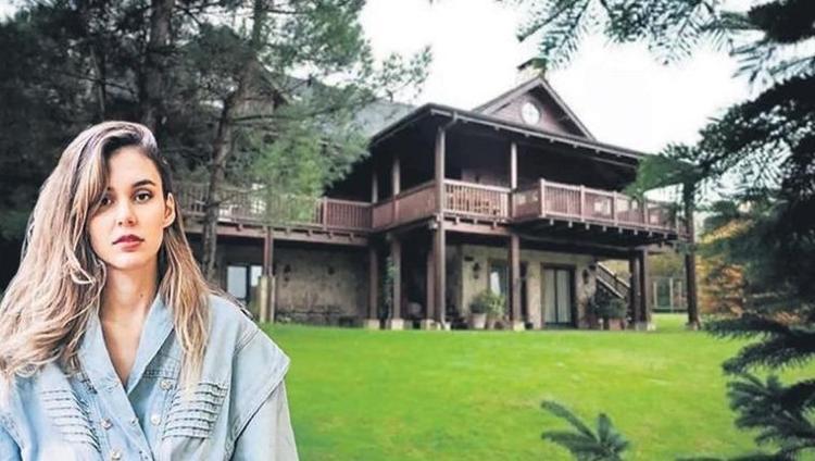 YARASALAR BASTI, TİLKİLER GELDİ, EŞEK ARILARI YUVA YAPTI