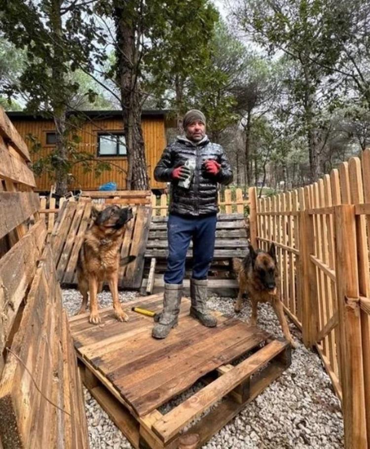İstanbuldan kaçan kaçana Ünlü oyuncu Timur Acar, İznikte arsa aldı İlk zeytin hasadını yaptı