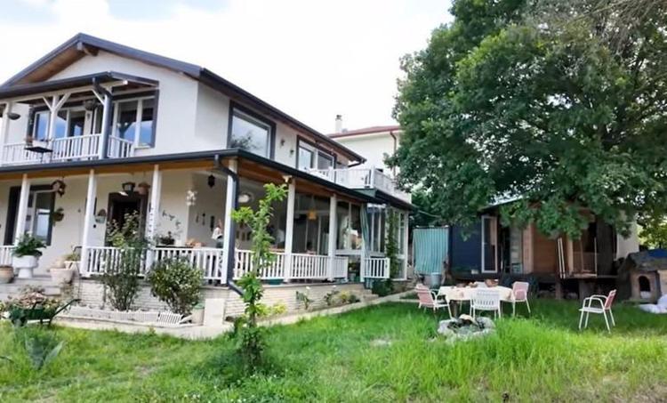 İstanbuldan kaçan kaçana Ünlü oyuncu Timur Acar, İznikte arsa aldı İlk zeytin hasadını yaptı