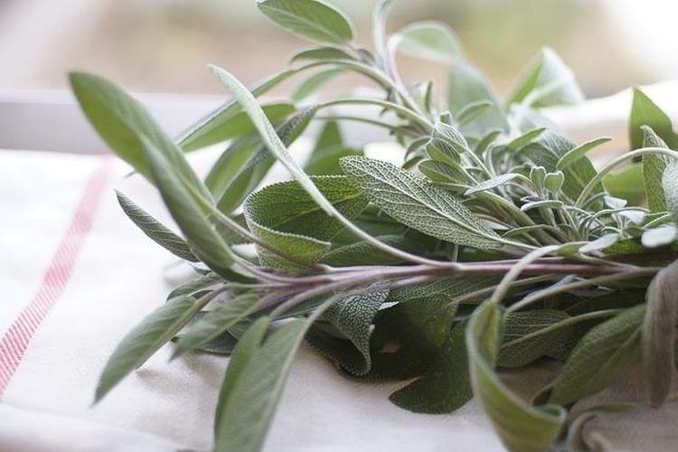 Saç beyazlamasına hangi vitaminlerin eksikliği neden olur