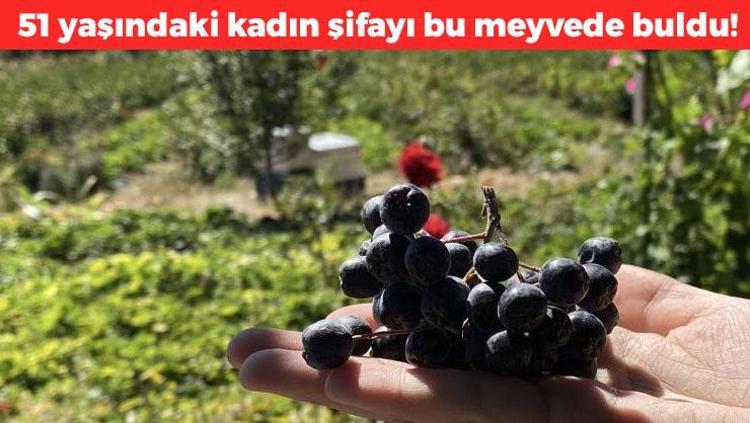 51 yaşındaki kadın bu meyveyle şifa buldu şimdi ücretsiz dağıtıyor Türkiyede nadiren biliniyor: Kalp hastalığına iyi geliyor