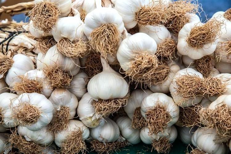 TÜKETİM ÖNERİSİ VE DİKKAT EDİLMESİ GEREKENLER