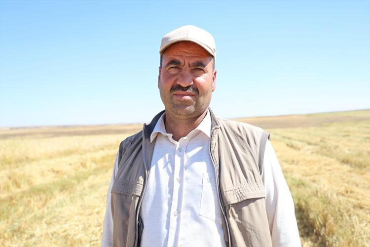 2 hafta zamanı kaldı Diyarbakırda ter döken mesai devam ediyor: Kilosu 50 TL: Şeker oranı çok düşük, insülini terazi gibi dengeliyor