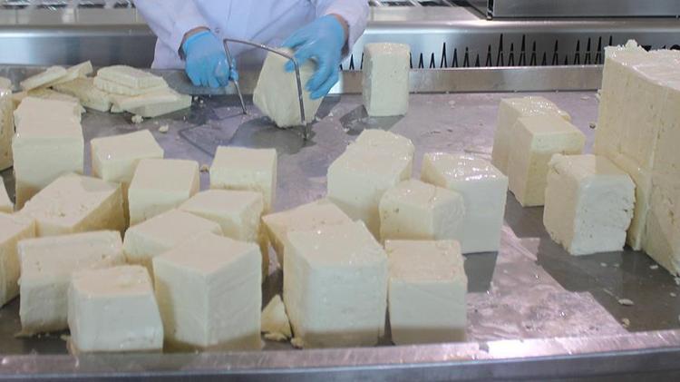 Peyniri yıllardır yanlış yiyormuşuz Meğer böyle tüketince faydası 10 kat artıyormuş, kemikleri beton gibi yapıyor