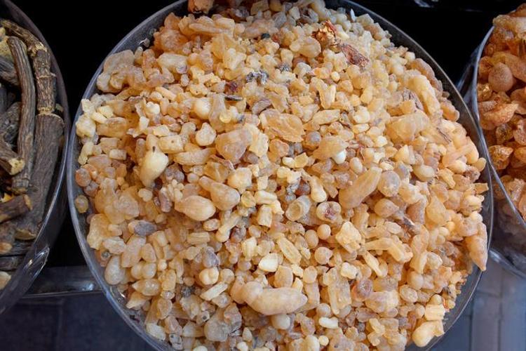 UZMANI ÖNERİYOR: AKGÜNLÜK SAKIZI