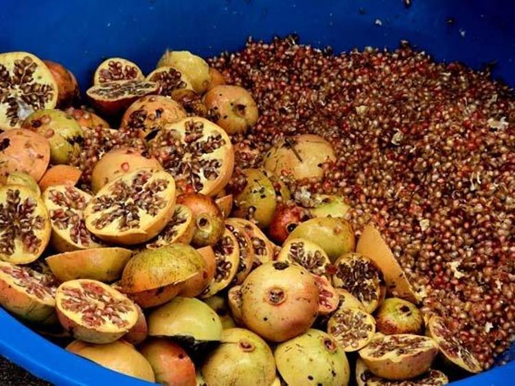 Litresi 350 TLden şifa dağıtıyor Tıkalı damarları yağ çözücü gibi açıyor, iltihabın ve boğazdaki mikrobun kökünü kazıyor