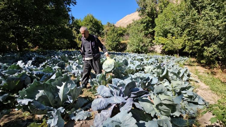 Malatyada hasadı başladı Tanesi 50 TL: B12 eksikliğini tarihe gömüyor, kabızlığı bitiriyor Yiyen gün boyu acıkmıyor, karnı dümdüz yapıyor