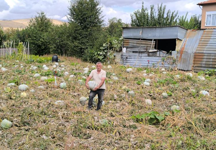 Kilosu 10 TLden satılıyor, çorbasını yapıp kaşık kaşık yiyen 10 yıl hastalanmıyor Potasyum, demir ve magnezyum depolarını fulleyen şifa deposu besin