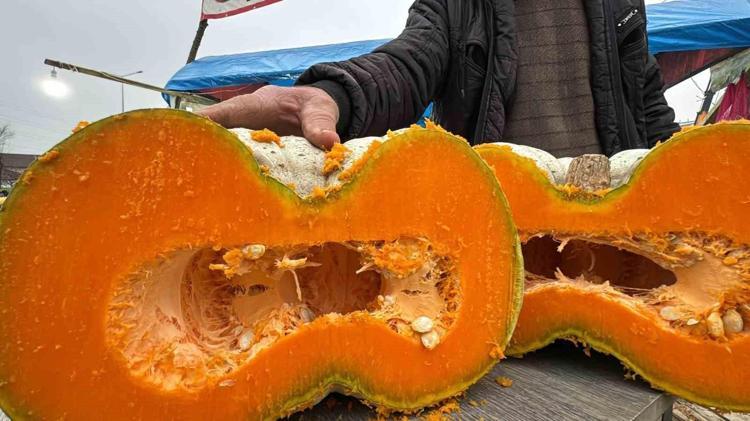 BAL KABAĞININ FAYDALARI NELERDİR