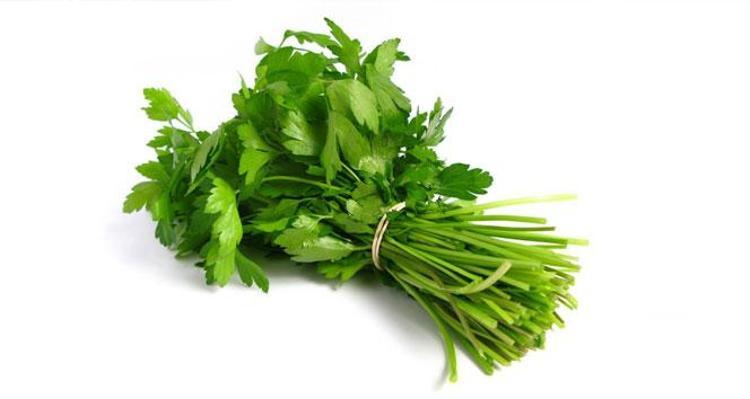 Canan Karatay ısrarla tavsiye ediyor: Böbrekleri temizliyor, 1 yemek kaşığını sıcak suya katıp kaynatın: Buruş buruş damarları genişletiyor