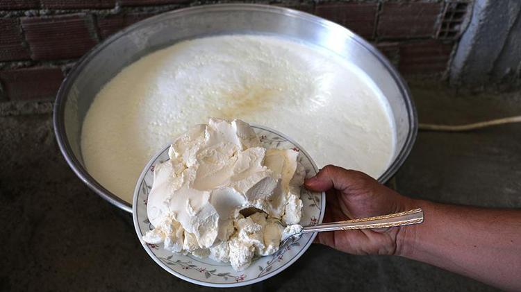 Taze yoğurdun içine karıştırın 1 kaşık yiyen 10 yıl hastalanmıyor: Kemikleri betona çeviriyor, kolesterolün kökünü kurutuyor