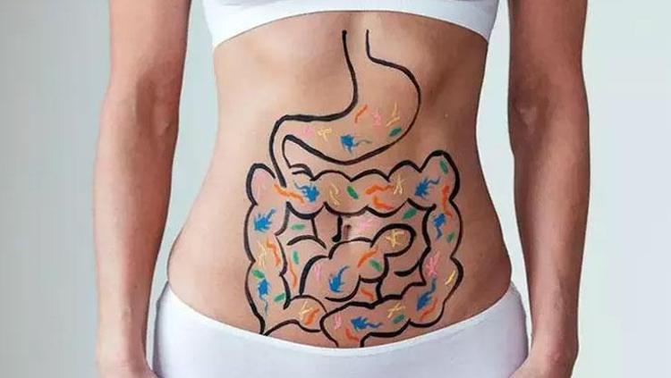 Probiyotik alırken 2 kere düşünün Takviye mi kullanılmalı doğal ürünler mi Bağırsakları makine gibi çalıştırıyor