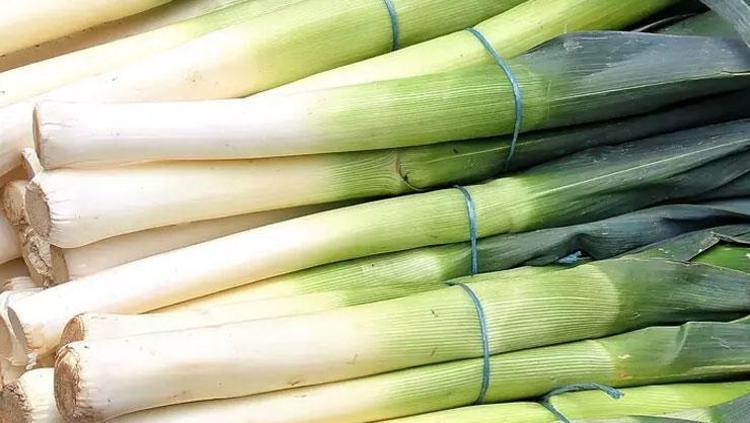 Probiyotik alırken 2 kere düşünün Takviye mi kullanılmalı doğal ürünler mi Bağırsakları makine gibi çalıştırıyor