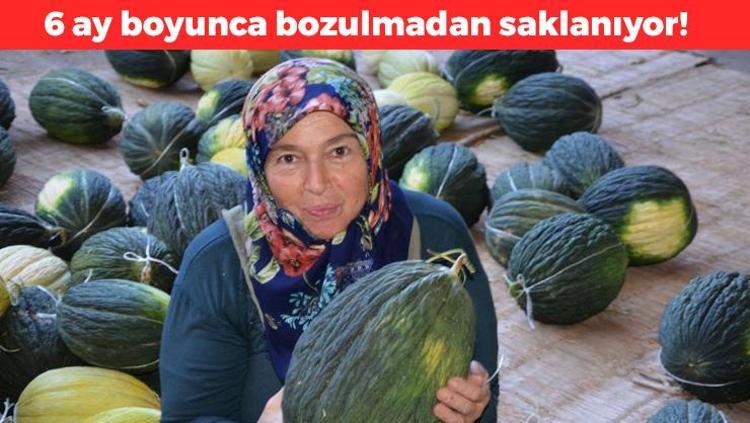 6 ay bozulmadan saklanıyor Şimdi hasat edip kışın satacaklar: Manisanın incisi olarak biliniyor