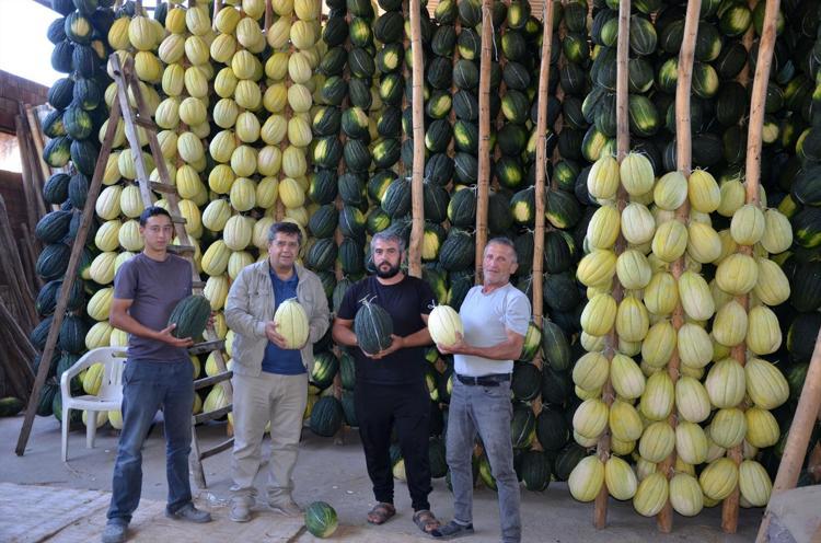 6 ay bozulmadan saklanıyor Şimdi hasat edip kışın satacaklar: Manisanın incisi olarak biliniyor