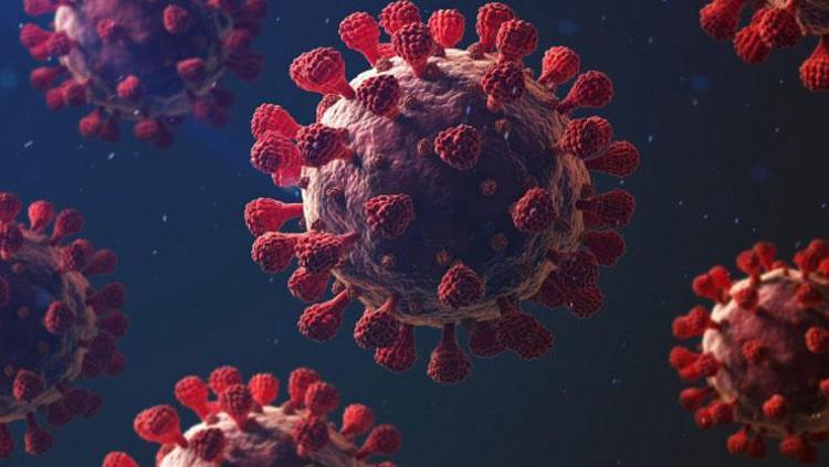 Covid-19 vakalarında dikkat çeken artış Frankenstein varyantı bağışıklığı atlatıyor
