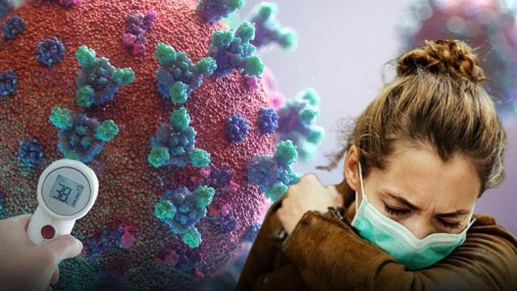 UZMANLAR TÜRKİYEYE GİRİŞİNE KARŞIN UYARIYOR