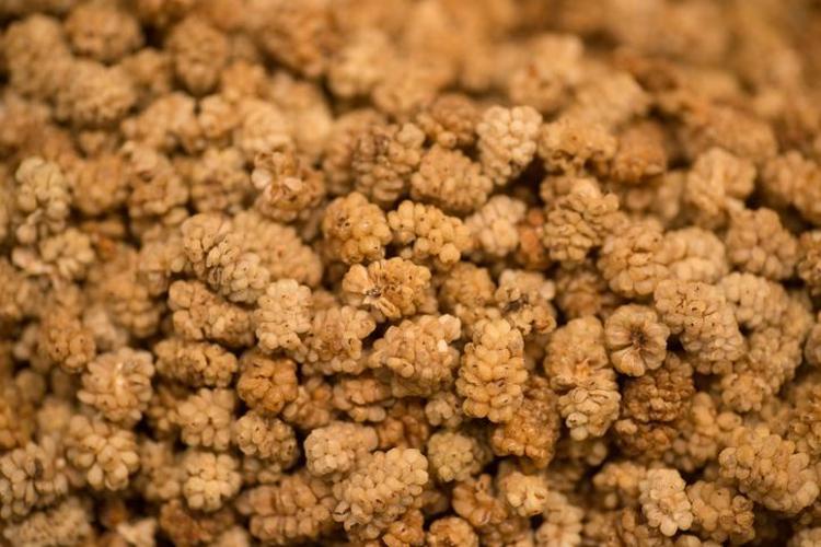 KARACİĞERİ DESTEKLEYEN DOĞAL BİR GIDA