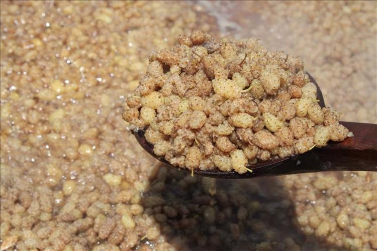 DOĞAL ENERJİ KAYNAĞI