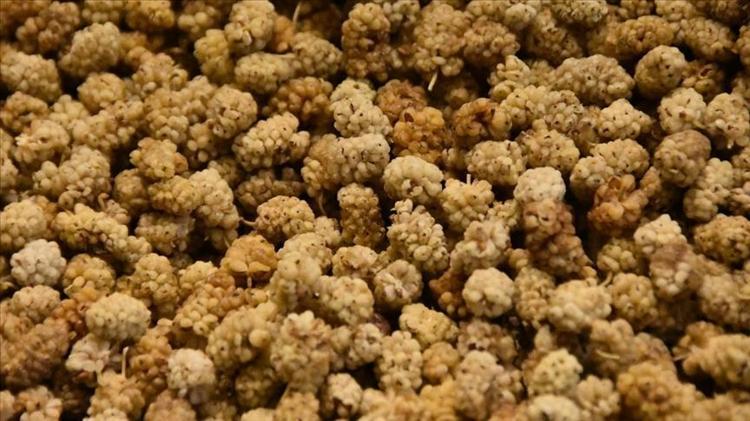 Padişah şekeri olarak biliniyor Osmanlıdan kalan miras: İnsülini terazi gibi dengeliyor, vücuda enerji veriyor, kan akışını hızlandıran süper besin