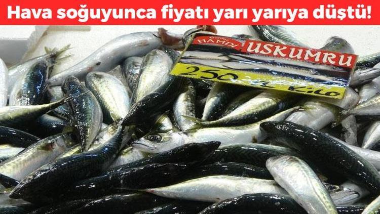 Hava soğuyunca fiyatlar yarı yarıya düştü Hamsi, çinekop, lüfer, mezgit...