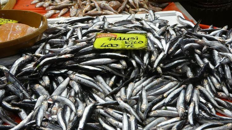 Hava soğuyunca fiyatlar yarı yarıya düştü Hamsi, çinekop, lüfer, mezgit...
