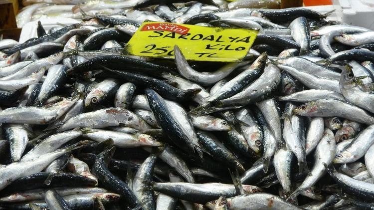 BALIĞIN FAYDALARI NELERDİR