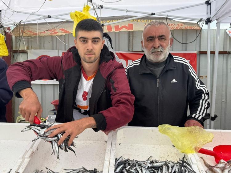Bolluk nedeniyle kilosu 100 TLye düştü Kemikleri beton gibi güçlendirip tıkalı damarları yağ çözücü gibi açıyor Resmen omega-3 bombası