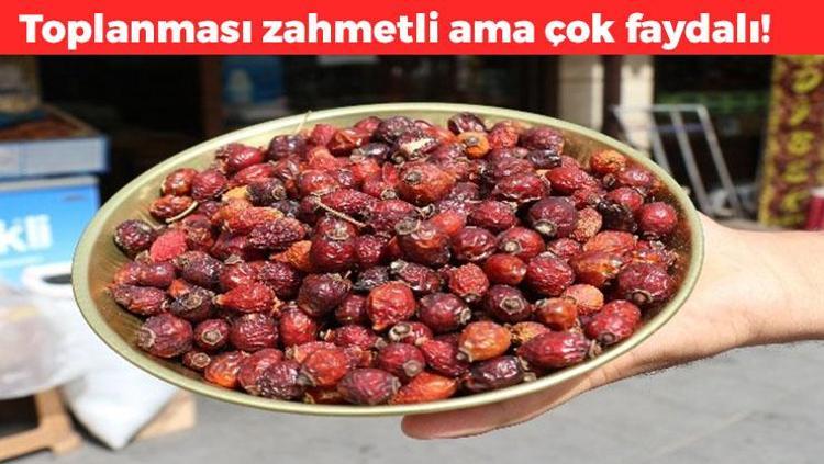 Toplaması zahmetli ama binbir derdin devası Kan şekerinin panzehiri, kansızlığı imha ediyor