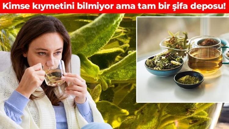 Bir fincanı şifa dolu Soğuk havalarda içinizi ısıtıyor, bağışıklığı zımba gibi yapıyor