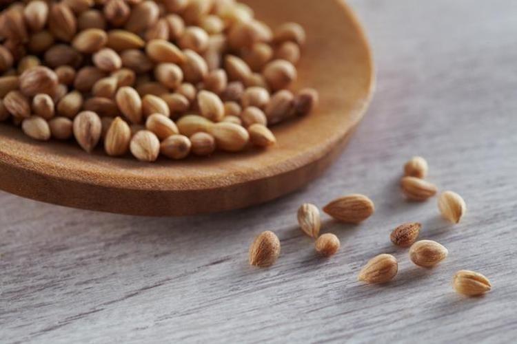 AĞRI KESİCİ ÖZELLİK GÖSTERİR