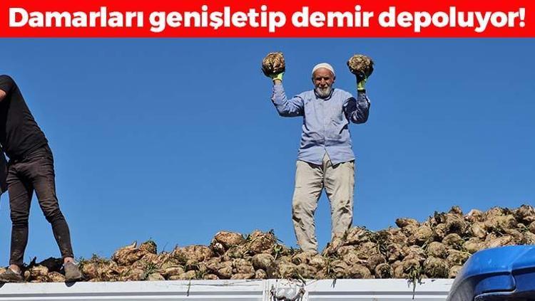 Bitliste sökümü başladı Daralan damarları genişletip demir depolarını zirveye taşıyor Doğal tansiyon ilacı
