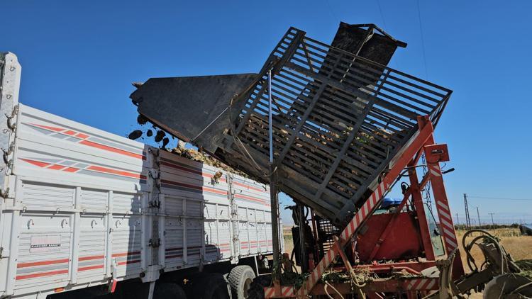 KAN BASINCINI DÜZENLEMEYE YARDIMCI OLUR