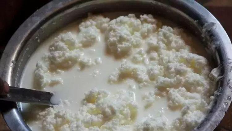 Beyaz peynir yerine bunu tüketin 10 kat daha faydalı, bedavadan kas yaptırıp kemikleri betona çeviriyor