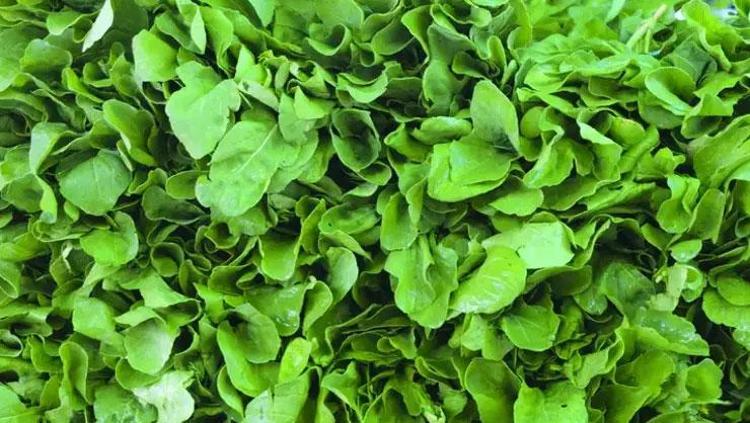 SİNİR SİSTEMİ ÜZERİNDEKİ ETKİLERİ