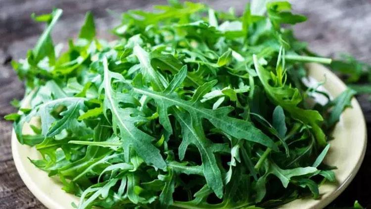 VÜCUTTAKİ ENZİM TEPKİLERİ