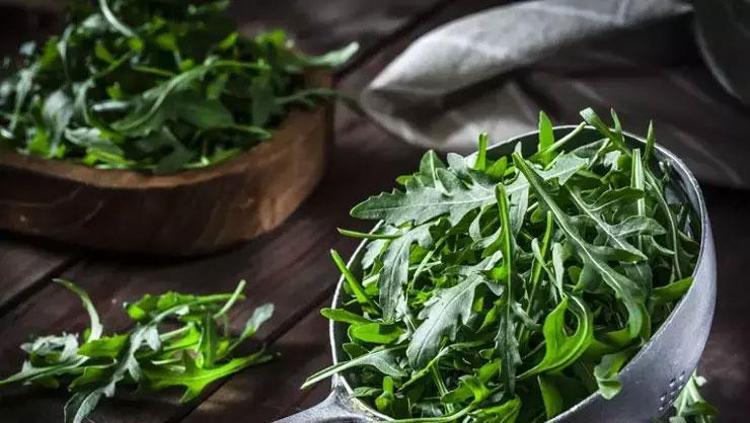 BALIK VE ROKA ARASINDAKİ DENGESİZLİK