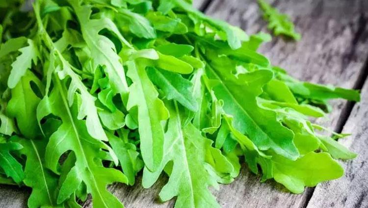 ALERJİK REAKSİYONLAR