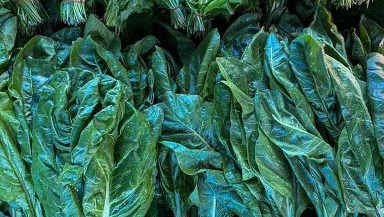 SAĞLIKLI SALATA ÖNERİSİ