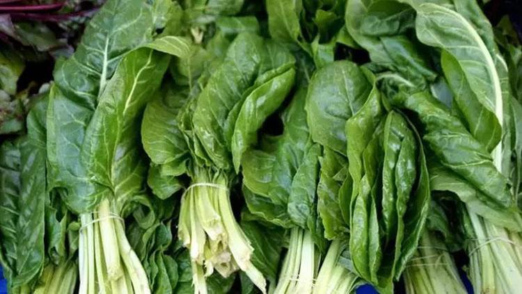 Kemikleri kaya gibi güçlendiren süper besin Türk mutfağının vazgeçilmezi